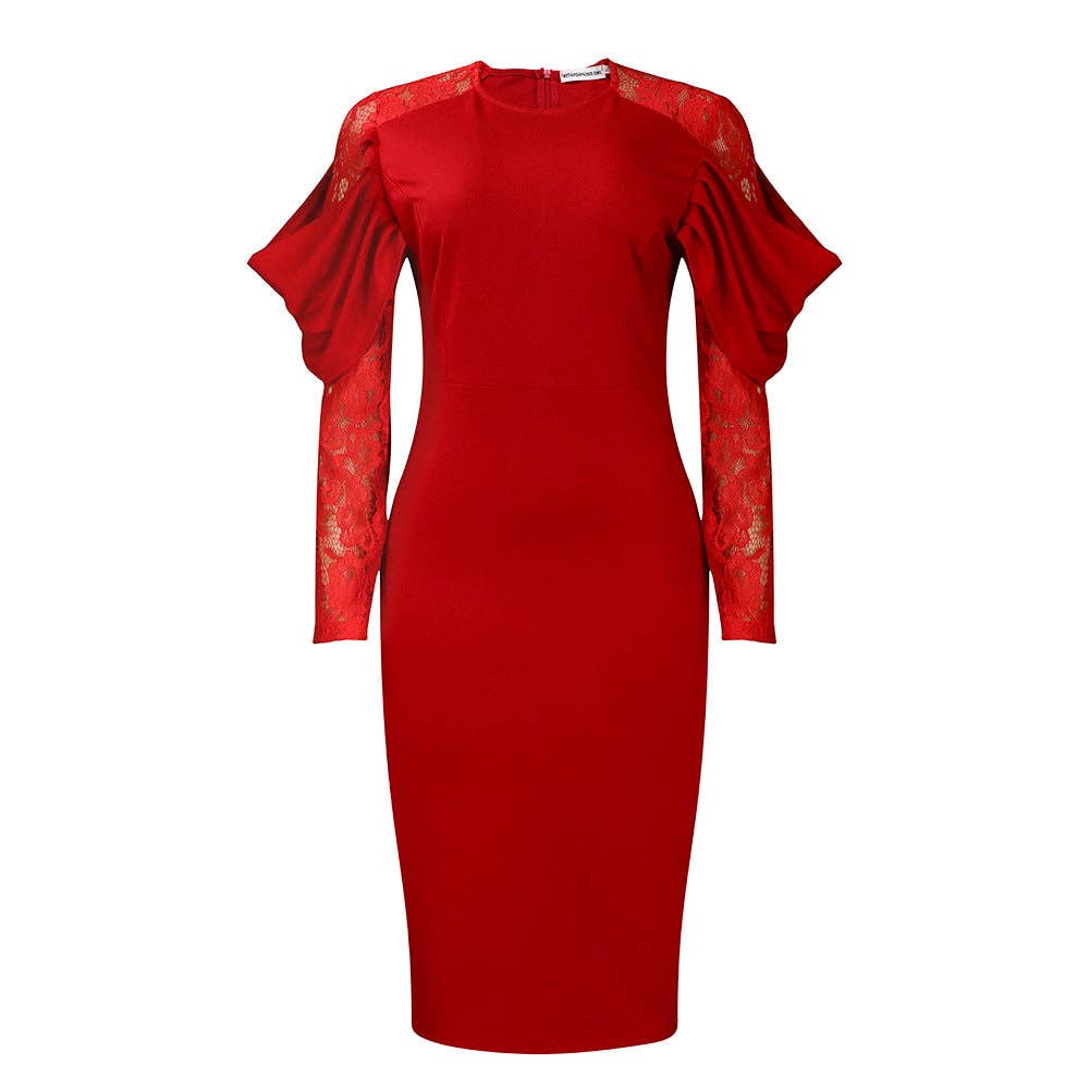 DREAM VERA APPAREL - Elegant Lace Panel Bodycon Dress